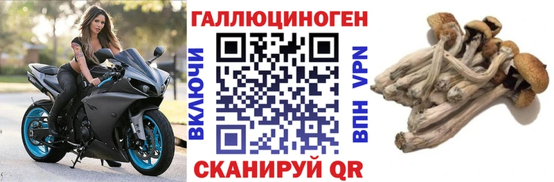 Галлюциногенные грибы мицелий  Купить где  Протвино 
